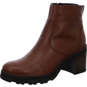 Stivali Ara Ankle Mantova Cognac Donna Marroni | ARA415KNW