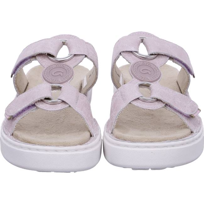 Mules Ara Courtyard Donna Rosa | ARA297ZQA