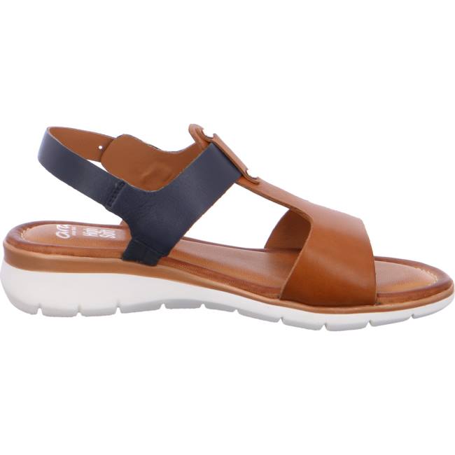 Sandali Ara Kreta Cognac-blue Donna Marroni | ARA325XWQ