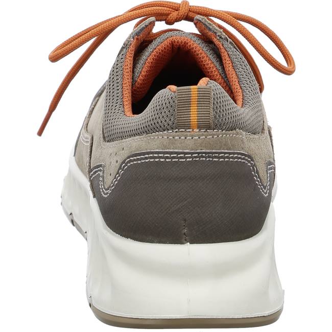 Scarpe Da Ginnastica Ara Paolo Uomo Beige | ARA208JRW