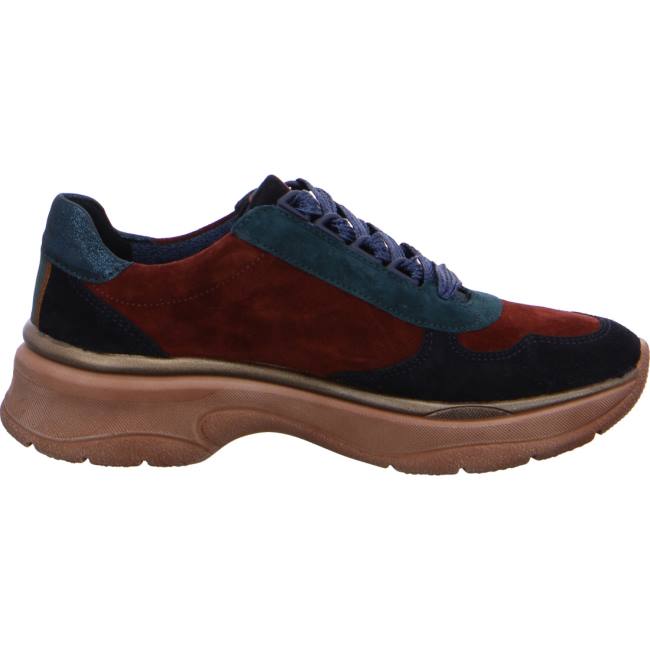 Scarpe Da Ginnastica Ara Pizzo-ups Roma Donna Blu | ARA641HGA